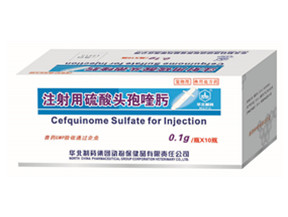 注射用硫酸头孢喹肟